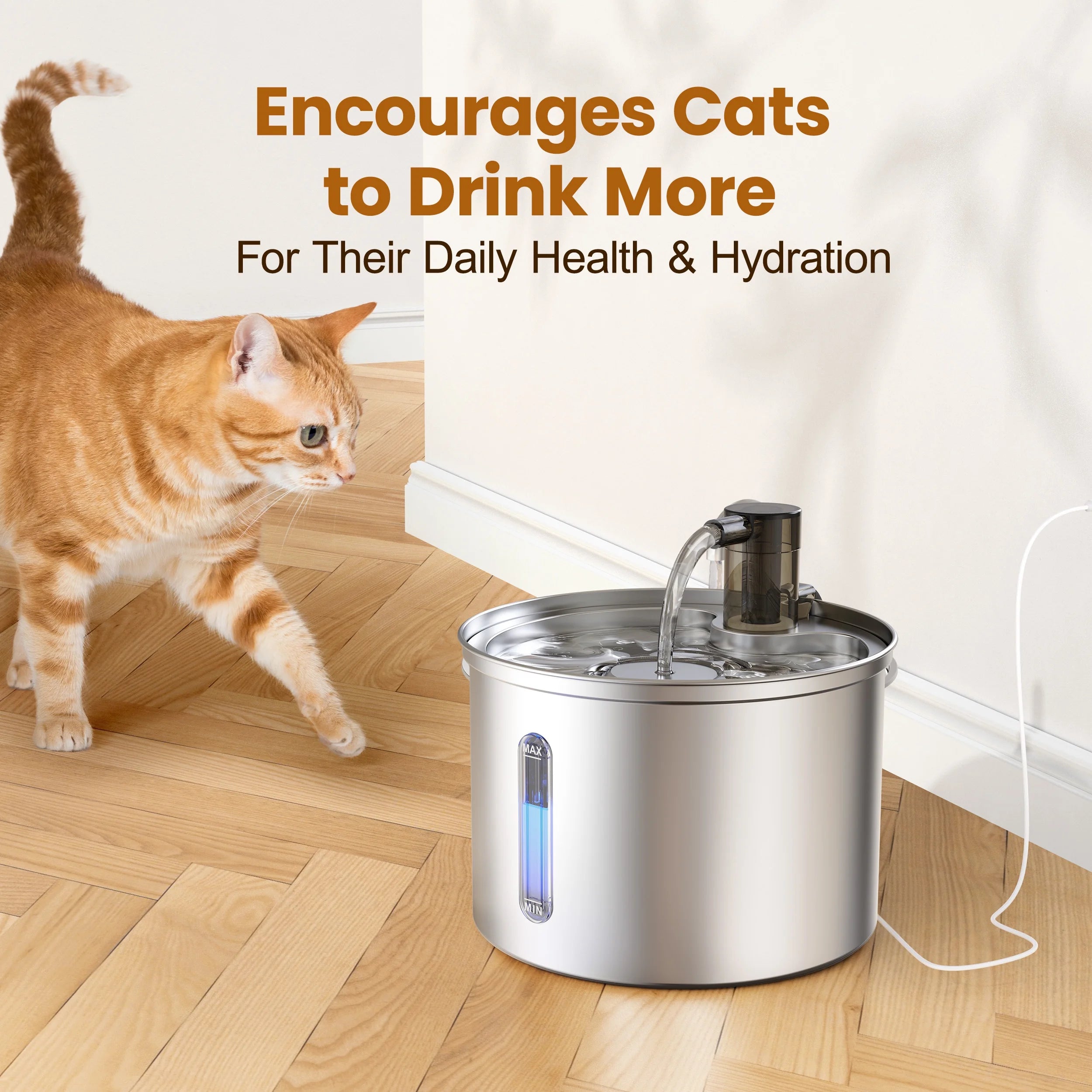 Oneisall 3L Stainless Pet Water Fountain